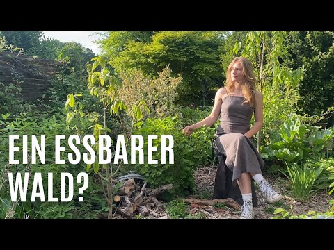 The Forest Garden | High Yield for Little Work? Permaculture & Food Forest