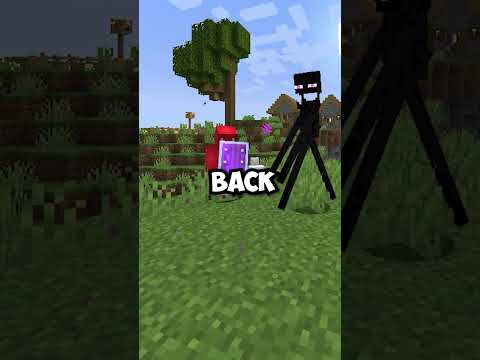 Revolutionary Minecraft Shields Mod Revealed!