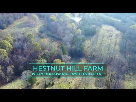 , title : 'Fayetteville TN - Chestnut Hill Farm - 59 Wiley Hollow Rd. Fayetteville TN'
