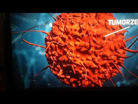 Gegen Krebs  METHADON   GEMEINSAM  mit CHEMOTHERAPEUTIKUM  in der Krebsforschung !