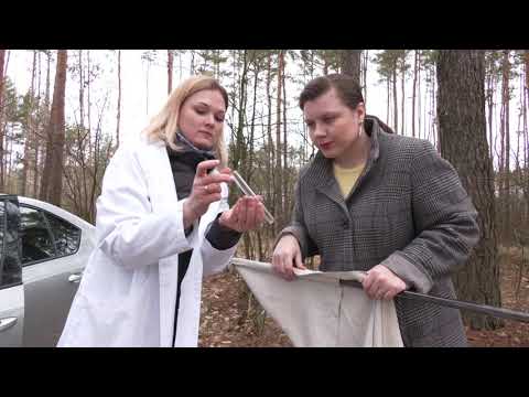 Будзьце ўважлівыя! Актывізаваліся кляшчы видео