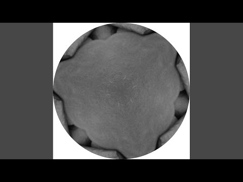 Razduplis (Original Mix)