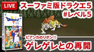 【LIVE】まーぶ実況！　ドラゴンクエスト５　天空の花嫁　#レベル5【スーファミ】