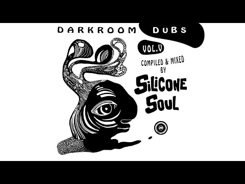Darkroom Dubs Vol. V - Compiled & Mixed by Silicone Soul
