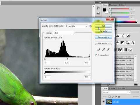 RE: Verde como un árbol de navidad.
