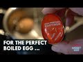 The Ultimate Egg Timer Reviewed