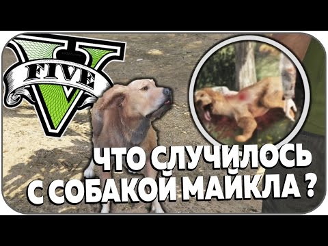 ЧТО СЛУЧИЛОСЬ С СОБАКОЙ МАЙКЛА В GTA V