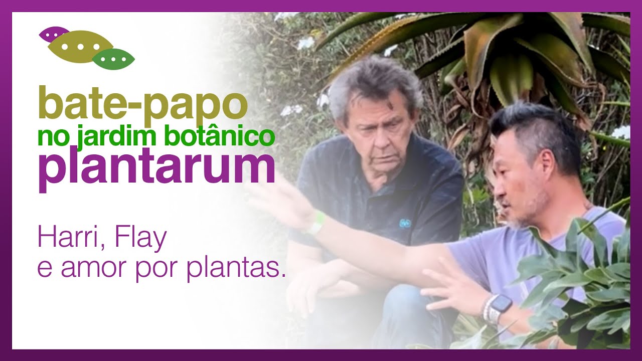 TOUR PLANTARUM - HARRI LORENZI: Paixão por PLANTAS, HISTÓRIAS de Vida e EMPREENDEDORISMO