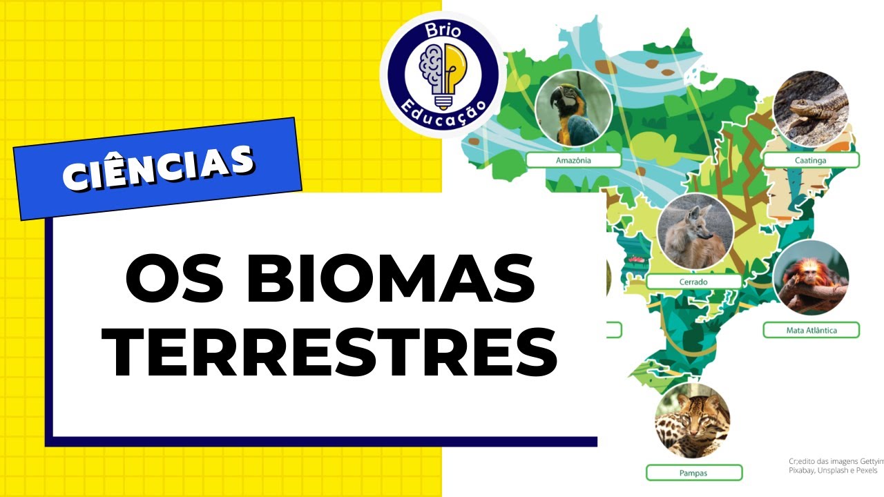 Ciências: Os Biomas Terrestres | Brio Educação