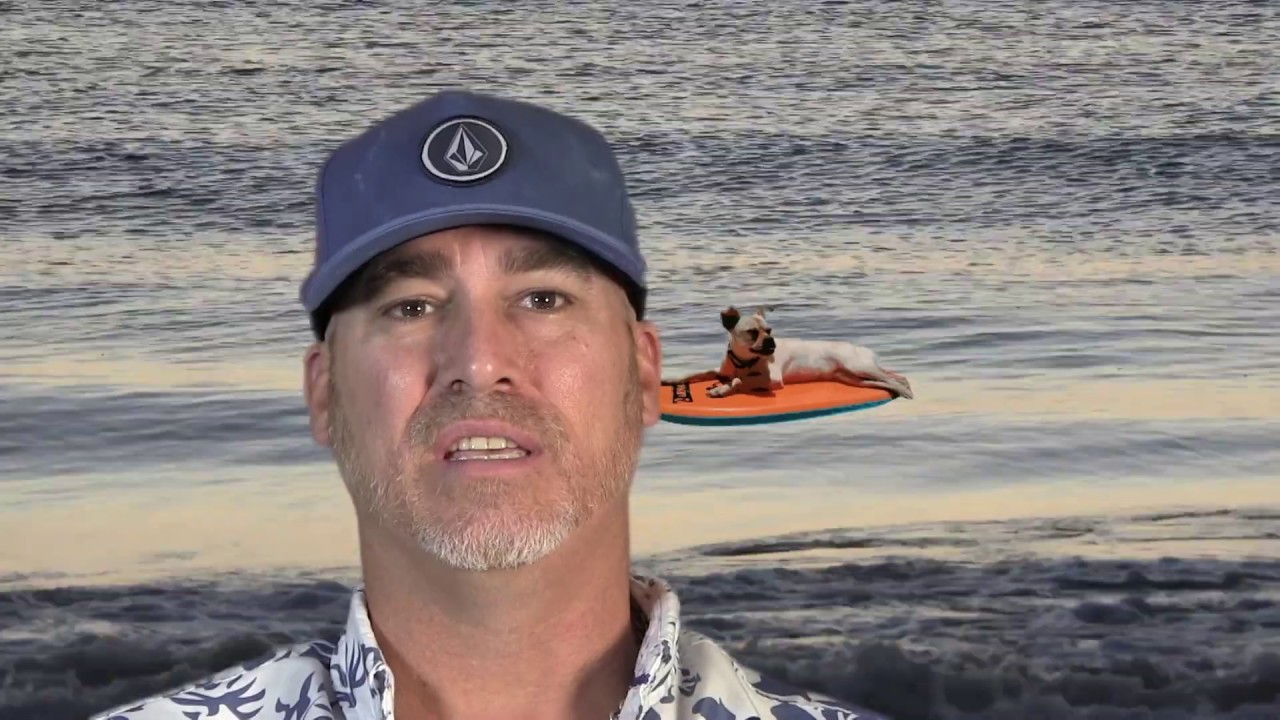 Promotional video thumbnail 1 for Beach Bum Barry