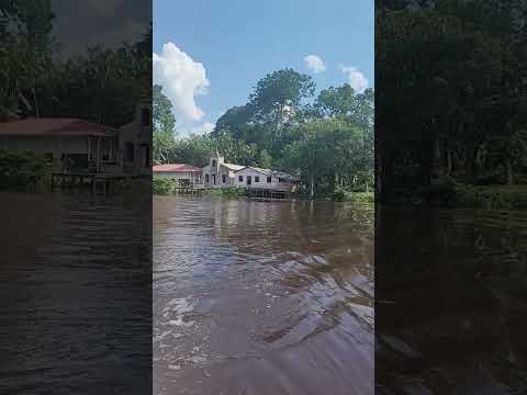 Alto Rio Canaticu. Curralinho/PA.