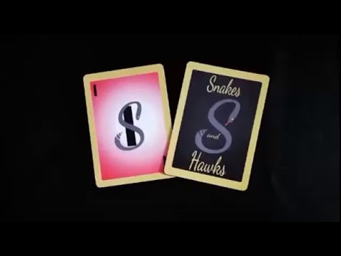 No teams 5 player card game Snakes and Hawks