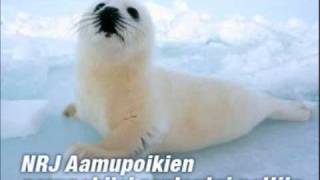 preview picture of video 'Norppabiis NRJ aamupojat_0001.wmv'