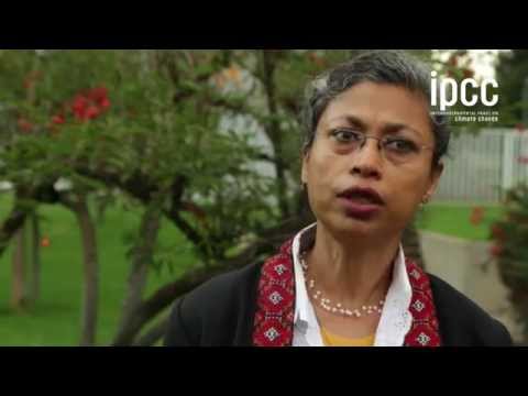 Joyashree Roy WGIII Coordinating Lead Author - Recorded in July 2013, Addis Ababa, Ethiopia.