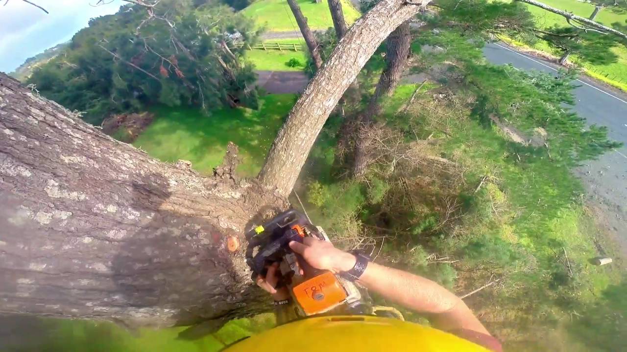 A1 Sure Services Pine reductions