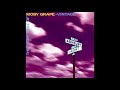 Moby Grape - Miller's Blues (Live)