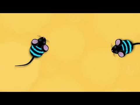 GRA DLA KOTÓW | Złap mysz | Gra dla kota | Mysz dla kota