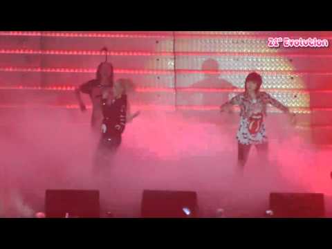 [110604] "The Party" 2NE1 Concert - Fire Live