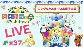 [ポケ森]ライブ#37 雑談しながらほのぼのスローライフ どうぶつの森ポケットキャンプ