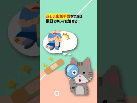 交流文化学科 【クイズ】転んで擦り傷ができたらどうする？＃Shorts #クイズ #大学生 に知ってほしい　#知識  #怪我 #応急手当