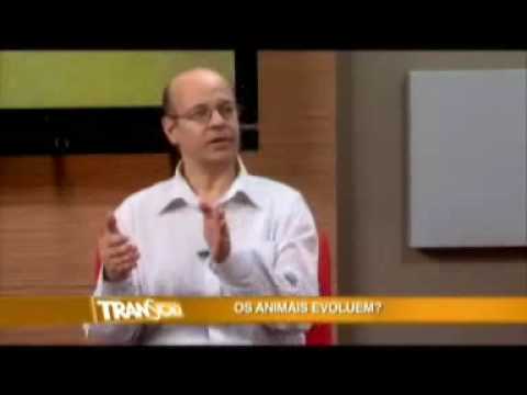 Entrevista com Marcel Benedeti - (parte4) 20/09/2009 - Programa Transição