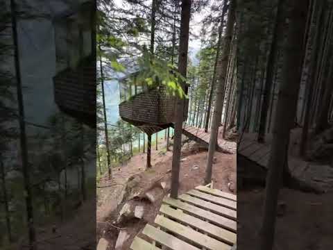 Amazing - Found This Cabin Up In A Tree😮  #shorts #norway #nature #cabin