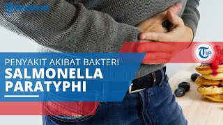 Paratifus, Penyakit yang Terjadi akibat Infeksi Bakteri Salmonella Paratyphi, Mirip dengan Tifus