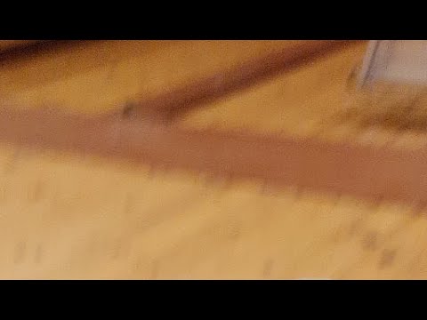 Coppa Lombardia Bluorobica @ SBT Treviglio