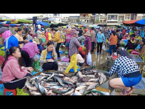 @Chhbar Ampov Market Morning Scene With Distribution Fish, Prawn & More In Phnom Penh City