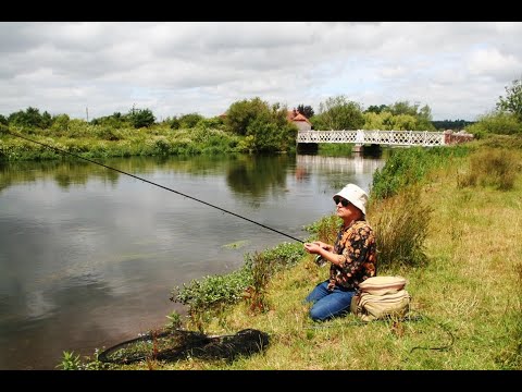 Ray Walton - HAMPSHIRE AVON, SHALLOWS FARM, BREAMORE, HAMPSHIRE