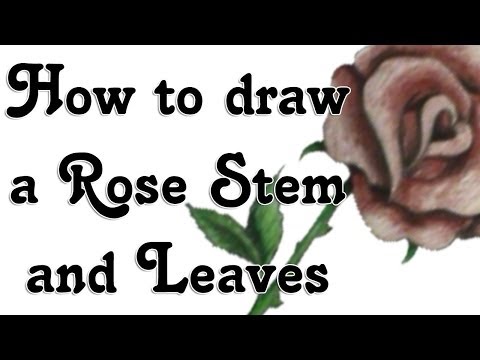 download lagu mp3 mp4 How To Draw A Rose Stem, download lagu How To Draw A Rose Stem gratis, unduh video klip How To Draw A Rose Stem