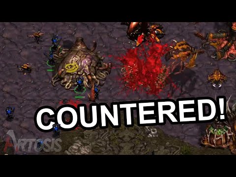 Effective Small Squadrons - KCM Race Survival B Series Week 2 G4