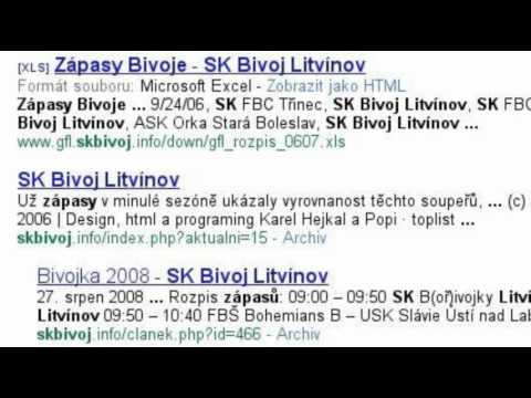 Sk Bivoj Litvínov a Google