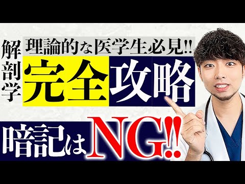 医学科 【医師講師直伝】解剖学は暗記じゃなくて理論で覚える!!テストにでるとこだけ1時間で完璧にできます(CBT,医師国家試験,進級試験)【解剖学勉強法】