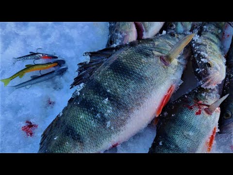 UUSILLA VESILLÄ AHVENPILKILLÄ | LIUKULUMIKENGÄT TESTISSÄ | KAIKULUOTAINPILKINTÄÄ