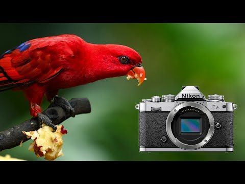 Should you buy the Nikon Z fc?