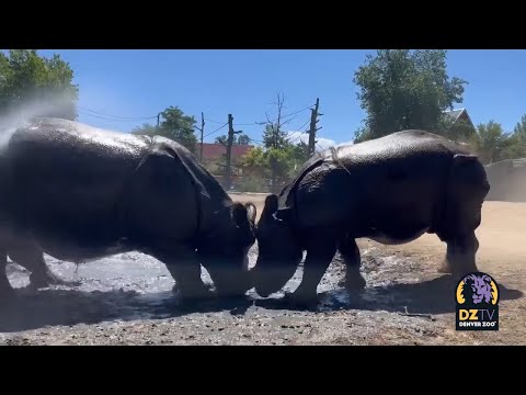 Keep Cool with Joona and Tensing!