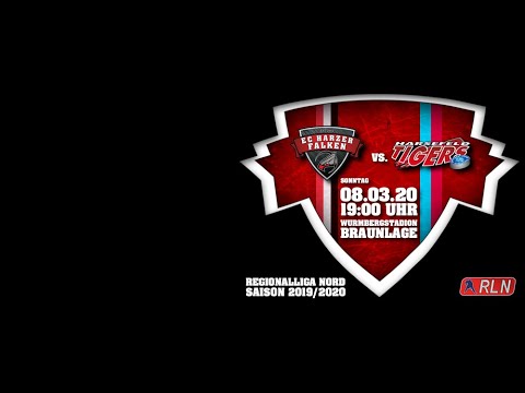 Tore Harzer Falken vs. Tus Tigers Harsefeld  08. 03. 2020