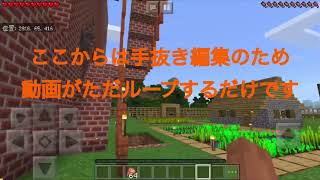 Minecraft 新キャラ登場？！