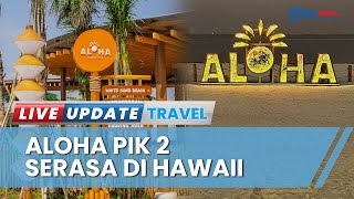 Nongkrong Bernuansa Pantai Hawaii di Aloha PIK 2 Tangerang, Gratis dan Bisa Bawa Hewan Peliharaan