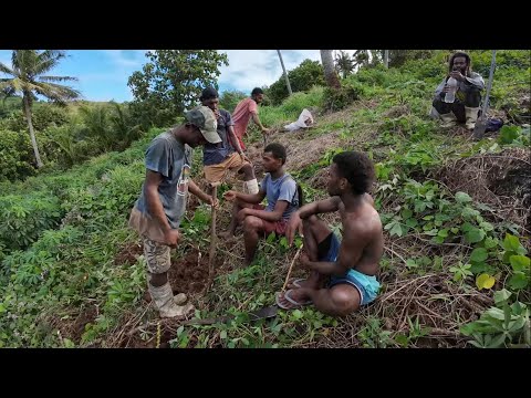 The Moturiki Island Youth Group Projects: Planting Cassava For Money💰🇫🇯