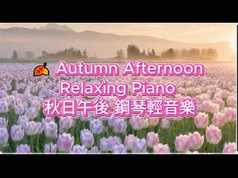 🌤 Autumn Afternoon Relaxing Piano | 柔和的秋日午後 | 鋼琴輕音樂