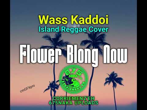 WASS KADOI 2025 COVER - FLOWER BLONG NOW 2025  675NAKA UPLOADS Island Reggae Png Music 