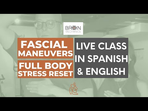 Full Body Stress & Organ Reset in Spanish & English | Fascial Maneuver Workshop