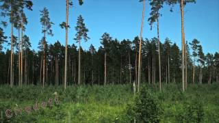 1/13 Tourism in Latvia Visit Forests and countryside