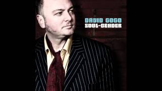 David Gogo - I Found A Love