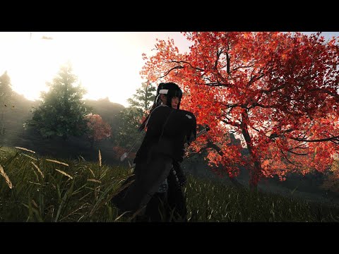 Rise of the Ronin "Other Halves" level 100 mission Solo + Build