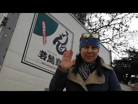 ВЛОГ февральский. Чокнутый КОТ ))) Ялта 2019