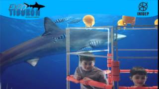 DIA 3 Expo Tiburon184