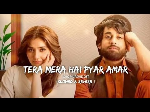 Tera Mera Hai pyar Amar-[ Lofi] | Ishq murshid | Ahmed Jahanzeb| 